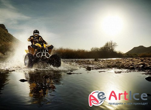 ��������: ��������� - ����������� � �������� (������� ������, ���������� ��������������)