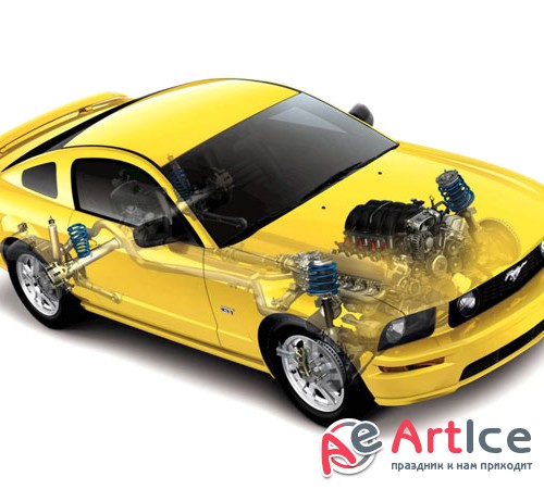 ��������: ���������� � ��������� �������������� (������� ������, ���������� ��������������)