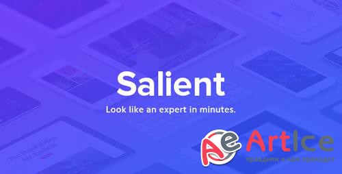 ThemeForest - Salient v8.5.6 - Responsive Multi-Purpose Theme - 4363266
