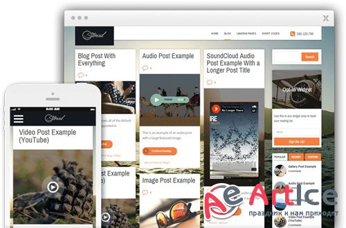 ThriveThemes - Storied v1.300.16 - WordPress Theme
