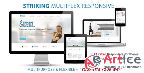 ThemeForest - Striking v1.2.9.2 - MultiFlex & Ecommerce Responsive WP Theme - 128763