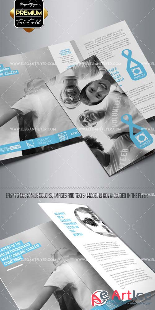 Charity V1 2018 Tri-Fold Brochure PSD Template