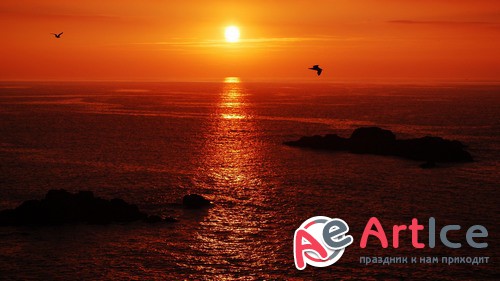 ��������������� ���� ��� �������� ����� #116