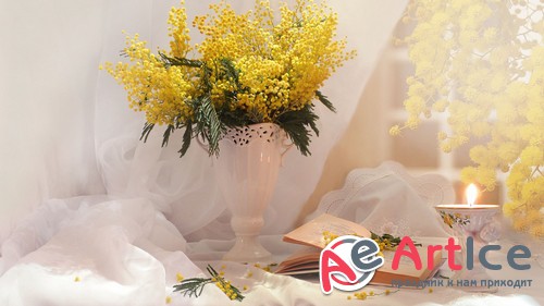 HQ ���� ��� �������� �����. ����� 553