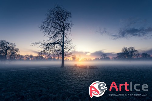 HQ ���� ��� �������� �����. ����� 553