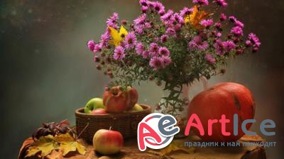 ��������������� ���� ��� �������� ����� #243