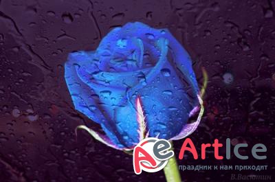 New best wallpapers pack #68