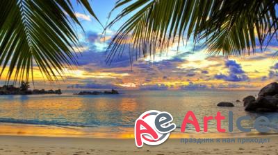 HQ ���� ��� �������� �����. ����� 725