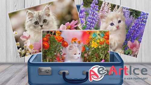 ProShow Producer - Pictures from Suitcase