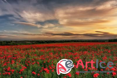 HQ ���� ��� �������� �����. ����� 752