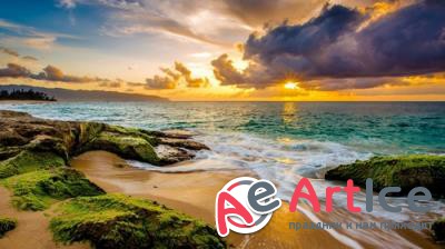 HQ ���� ��� �������� �����. ����� 752