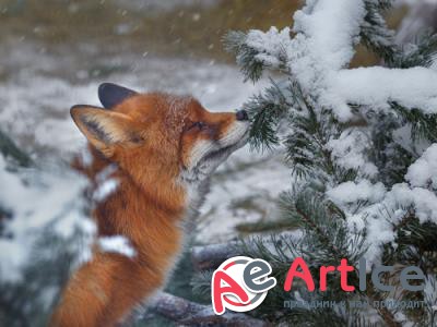 New best wallpapers pack #155