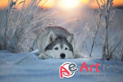 New best wallpapers pack #164