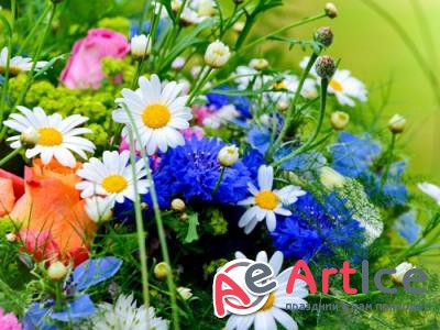 New best wallpapers pack #174
